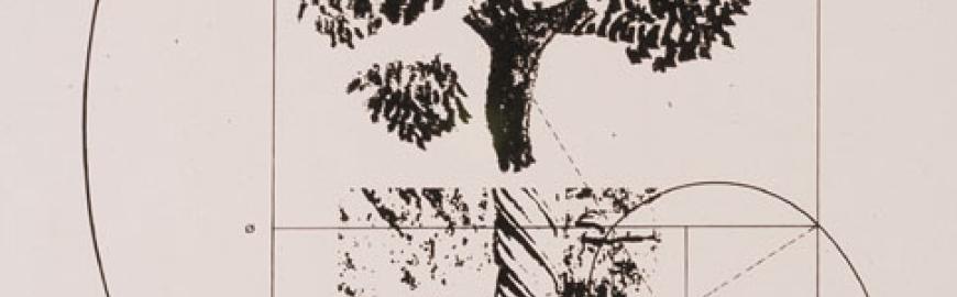 CARPETA 30 ARTISTAS CHILENOS EN EL AÑO DE LOS DERECHOS HUMANOS